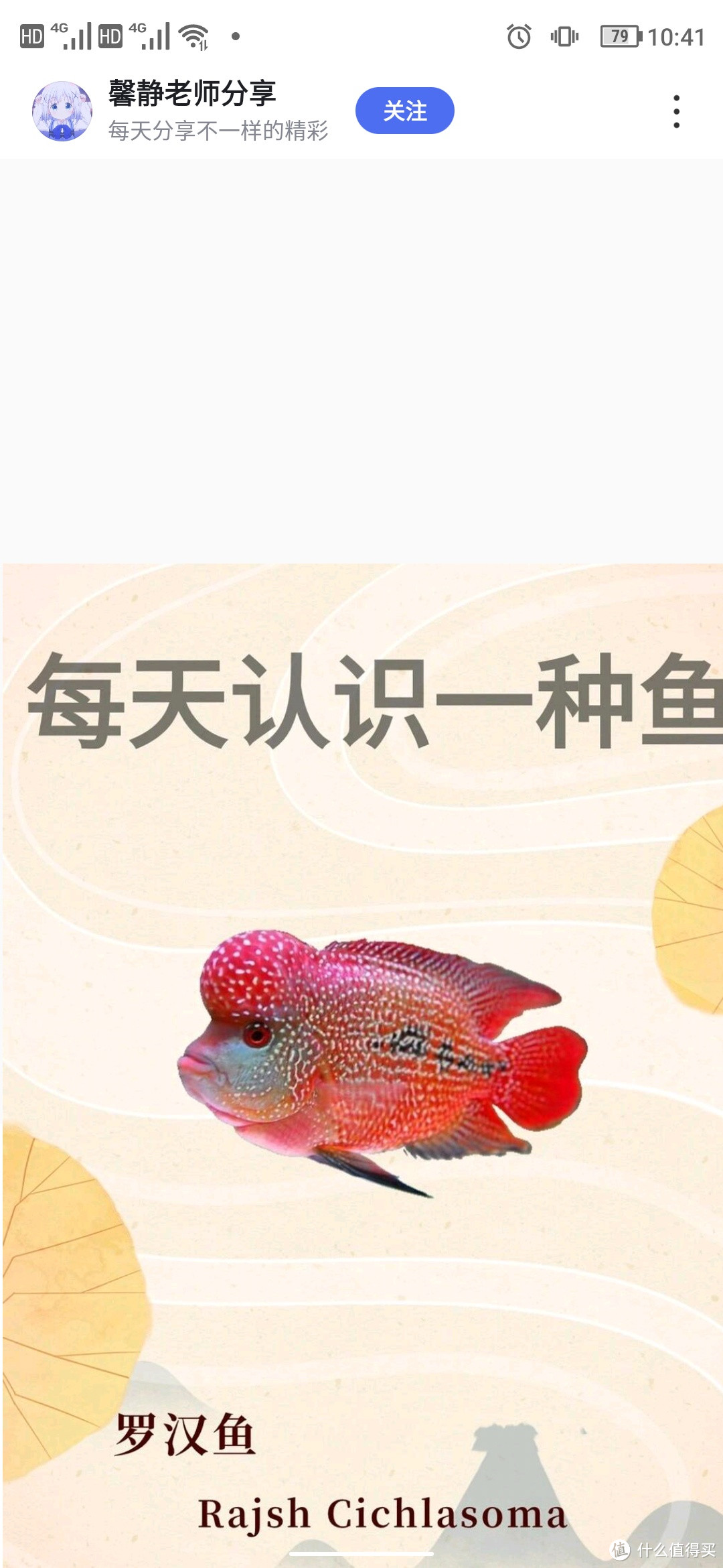 罗汉鱼饲养指南：水质与饲料管理